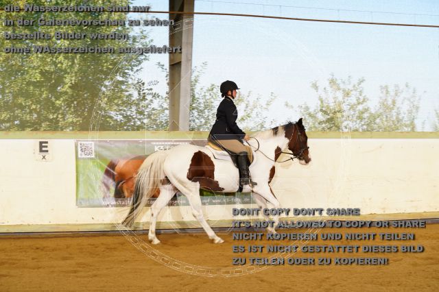 s_K3F08547.JPG